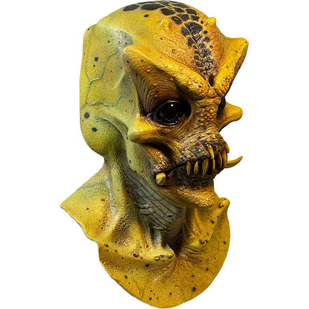 JORDU SCHELL COLLECTION - HYBRID Mask product image 2, provided for visual reference and product detail review