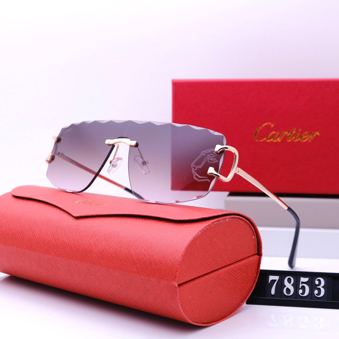 New Style Fashion Sunglasses For Summer -104 product image 1, provided for visual reference and product detail review