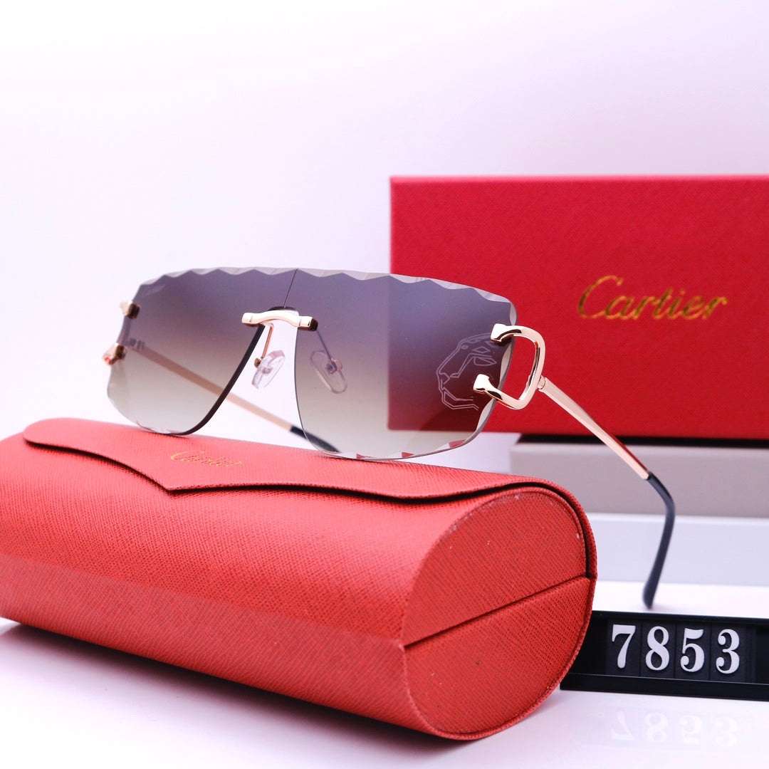 New Style Fashion Sunglasses For Summer -104 product image 7, provided for visual reference and product detail review