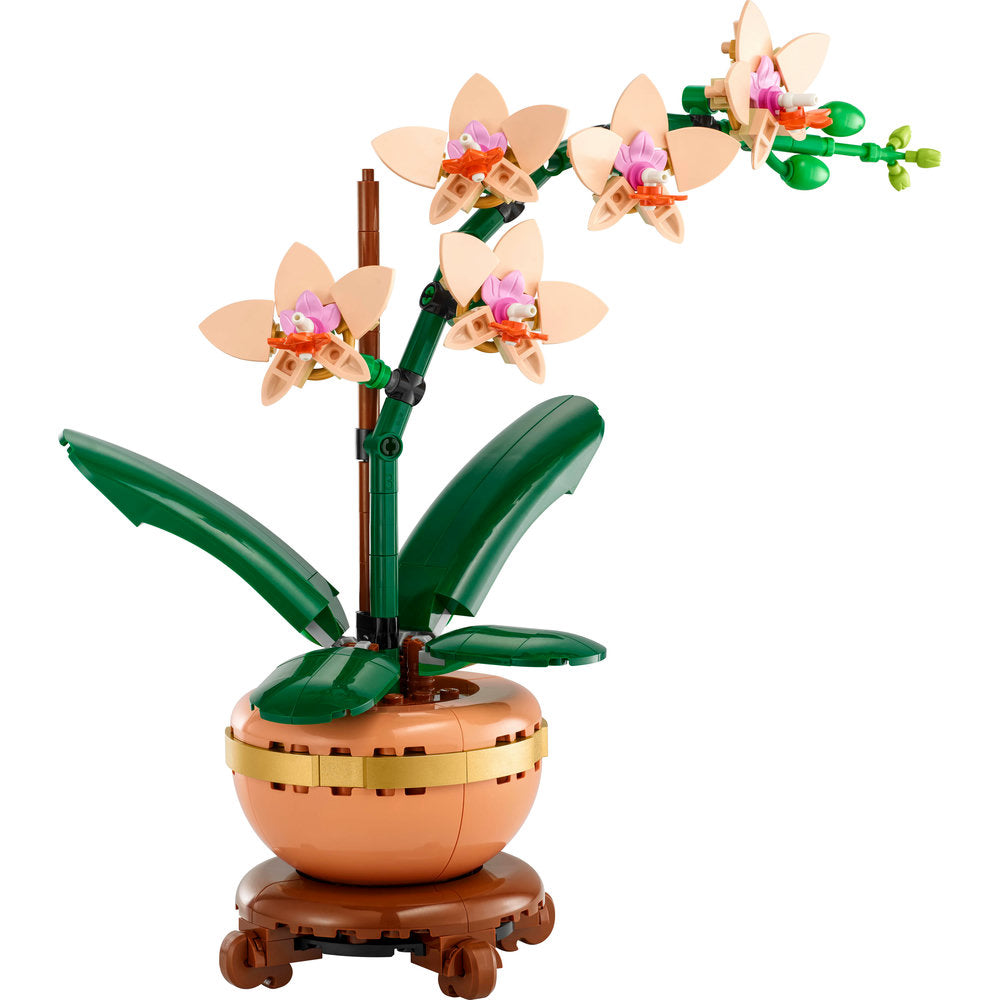 10343 Mini Orchid product image 6, provided for visual reference and product detail review