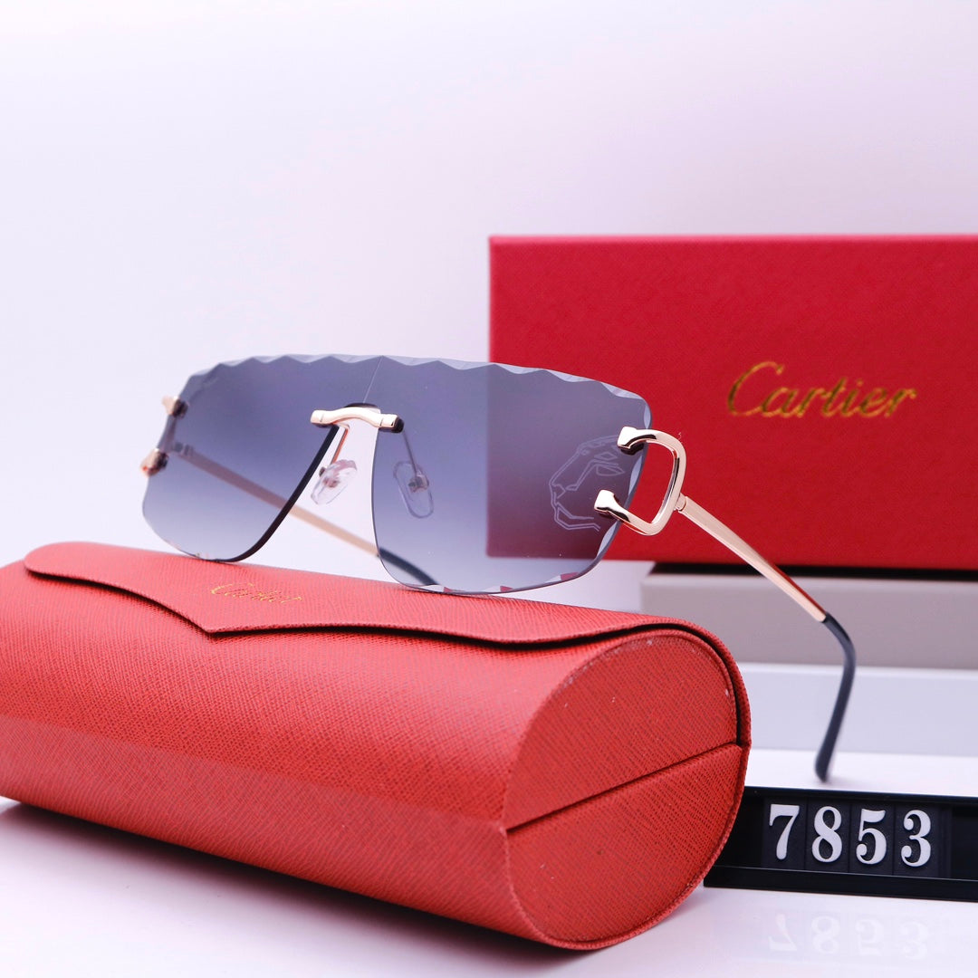 New Style Fashion Sunglasses For Summer -104 product image 4, provided for visual reference and product detail review