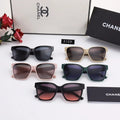 5 Colors Inner Frame Polarized Sunglasses product image 1, provided for visual reference and product detail review