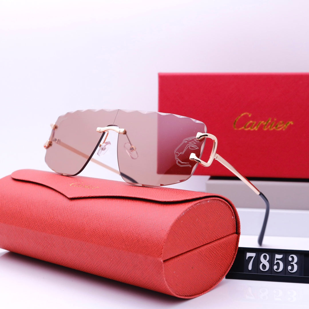 New Style Fashion Sunglasses For Summer -104 product image 2, provided for visual reference and product detail review