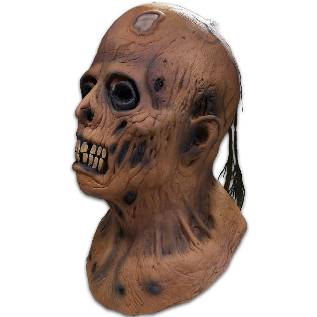 EC Comics Collection Haunt of Fear Graham Ingels Zombie Mask product image 3, provided for visual reference and product