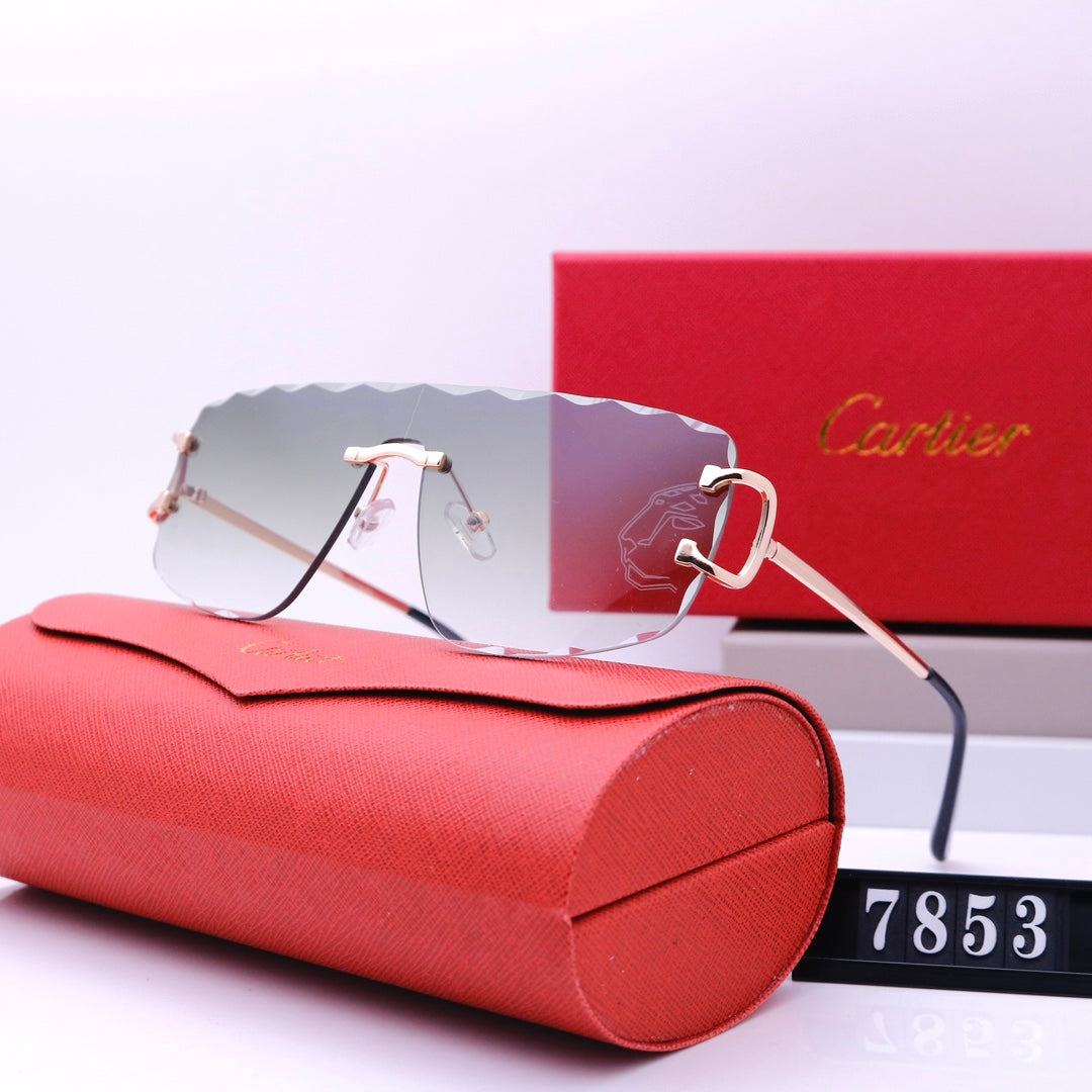 New Style Fashion Sunglasses For Summer -104 product image 6, provided for visual reference and product detail review
