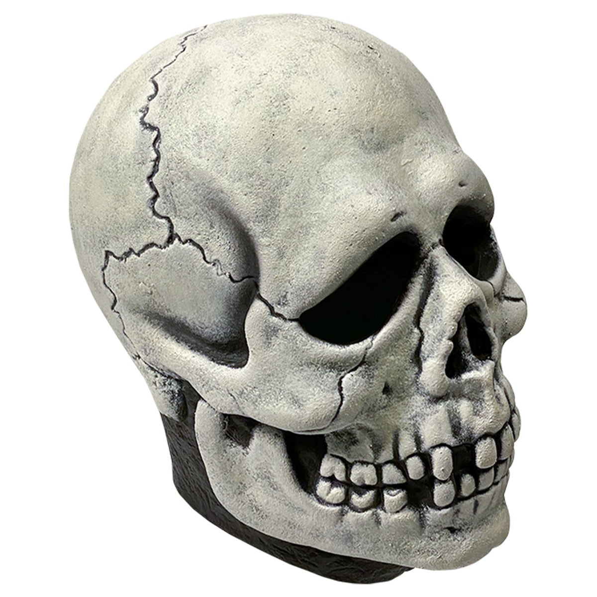 Don Post - Skull Mask product image 3, provided for visual reference and product detail review