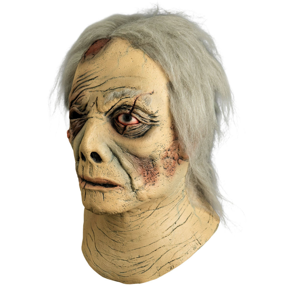 Don Post - Erik the Phantom Mask product image 2, provided for visual reference and product detail review
