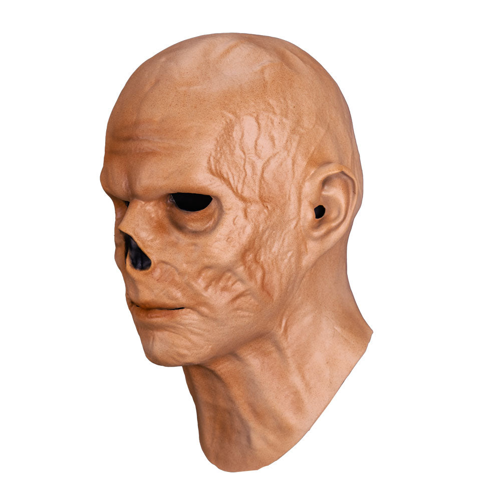 Fallout - The Ghoul Mask product image 3, provided for visual reference and product detail review