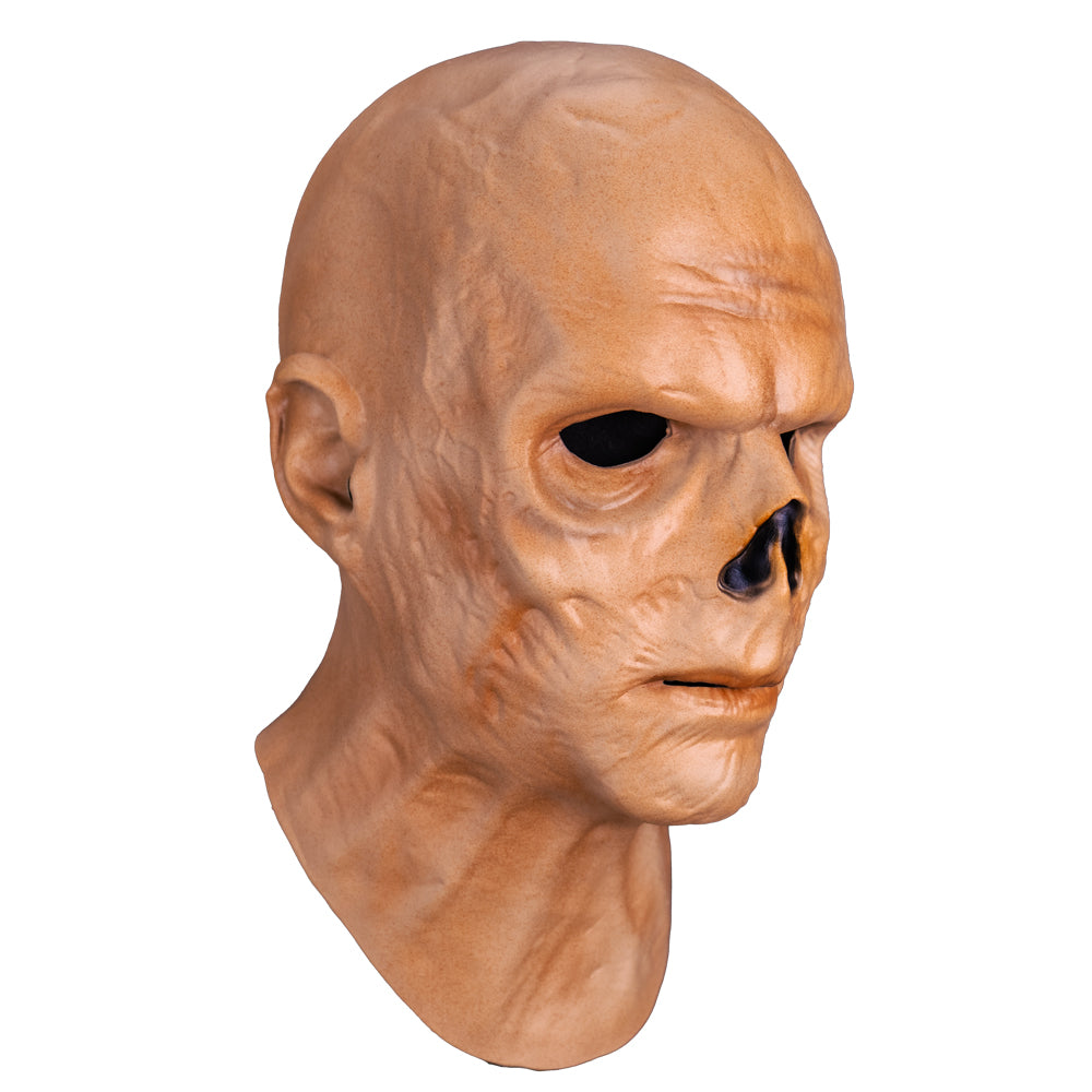 Fallout - The Ghoul Mask product image 4, provided for visual reference and product detail review