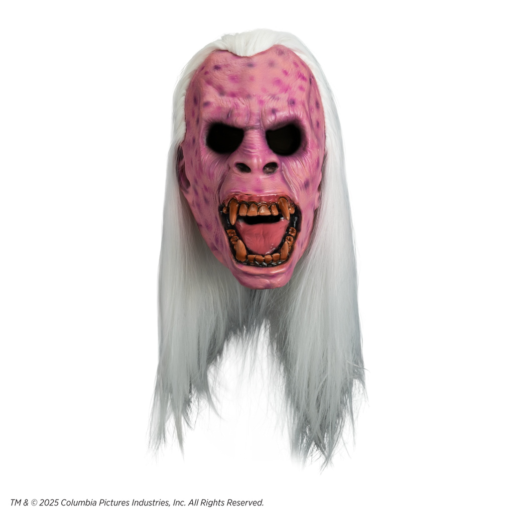 Ghostbusters - Library Ghost Mask (Vinyl) product image 2, provided for visual reference and product detail review