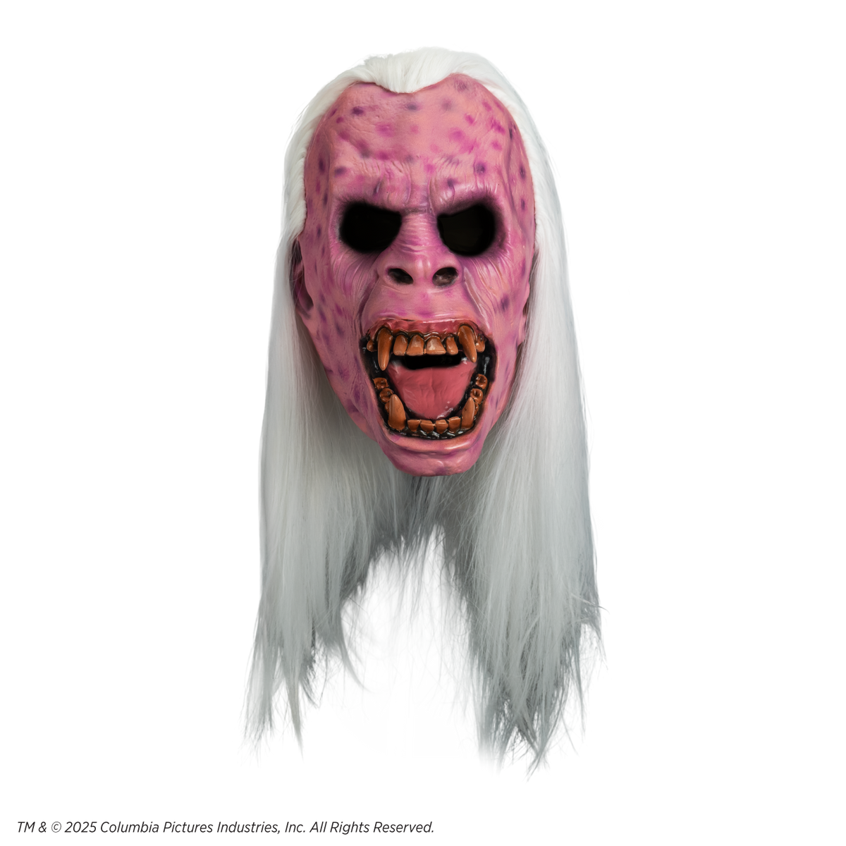 Ghostbusters - Library Ghost Mask (Vinyl) product image 2, provided for visual reference and product detail review