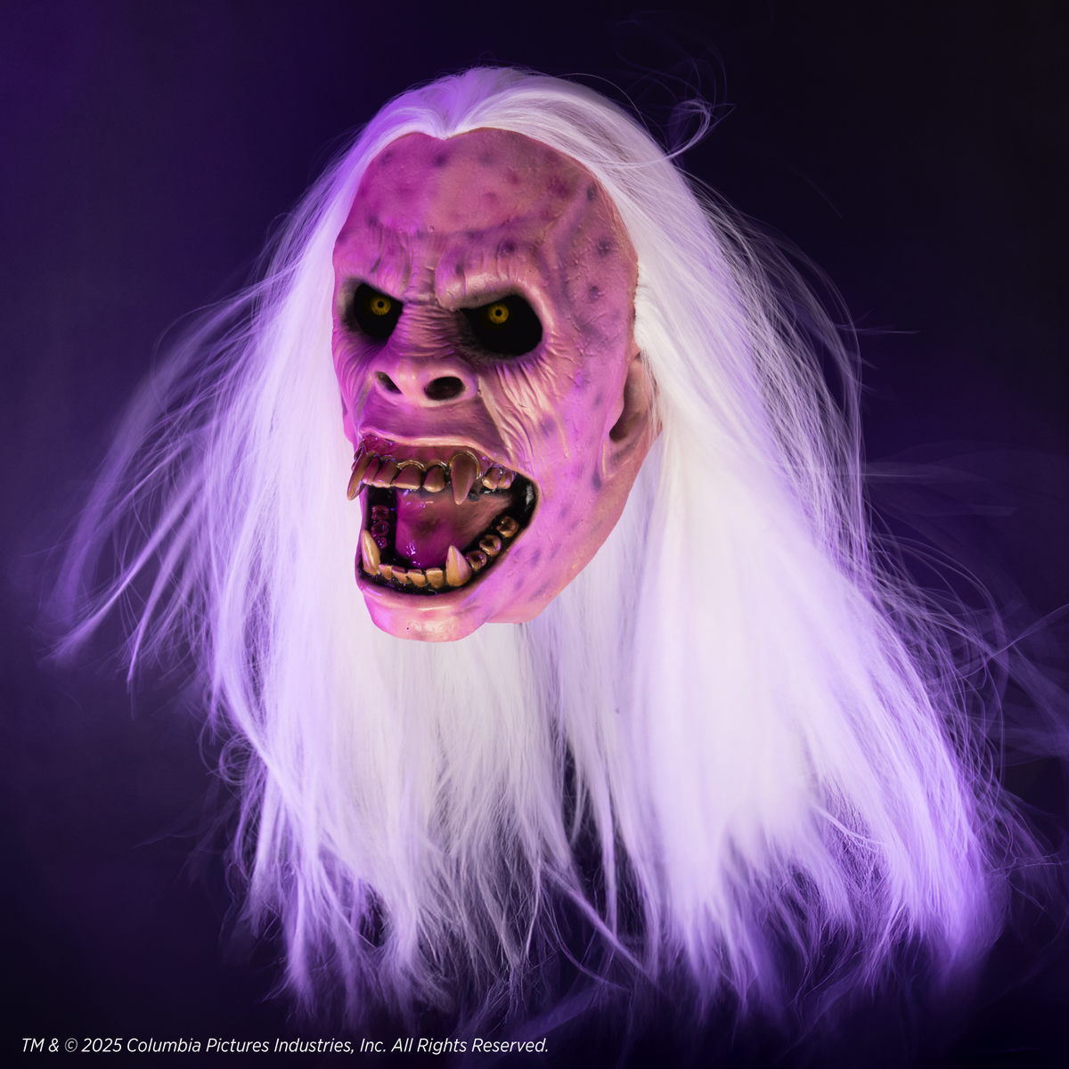Ghostbusters - Library Ghost Mask (Vinyl) product image 1, provided for visual reference and product detail review