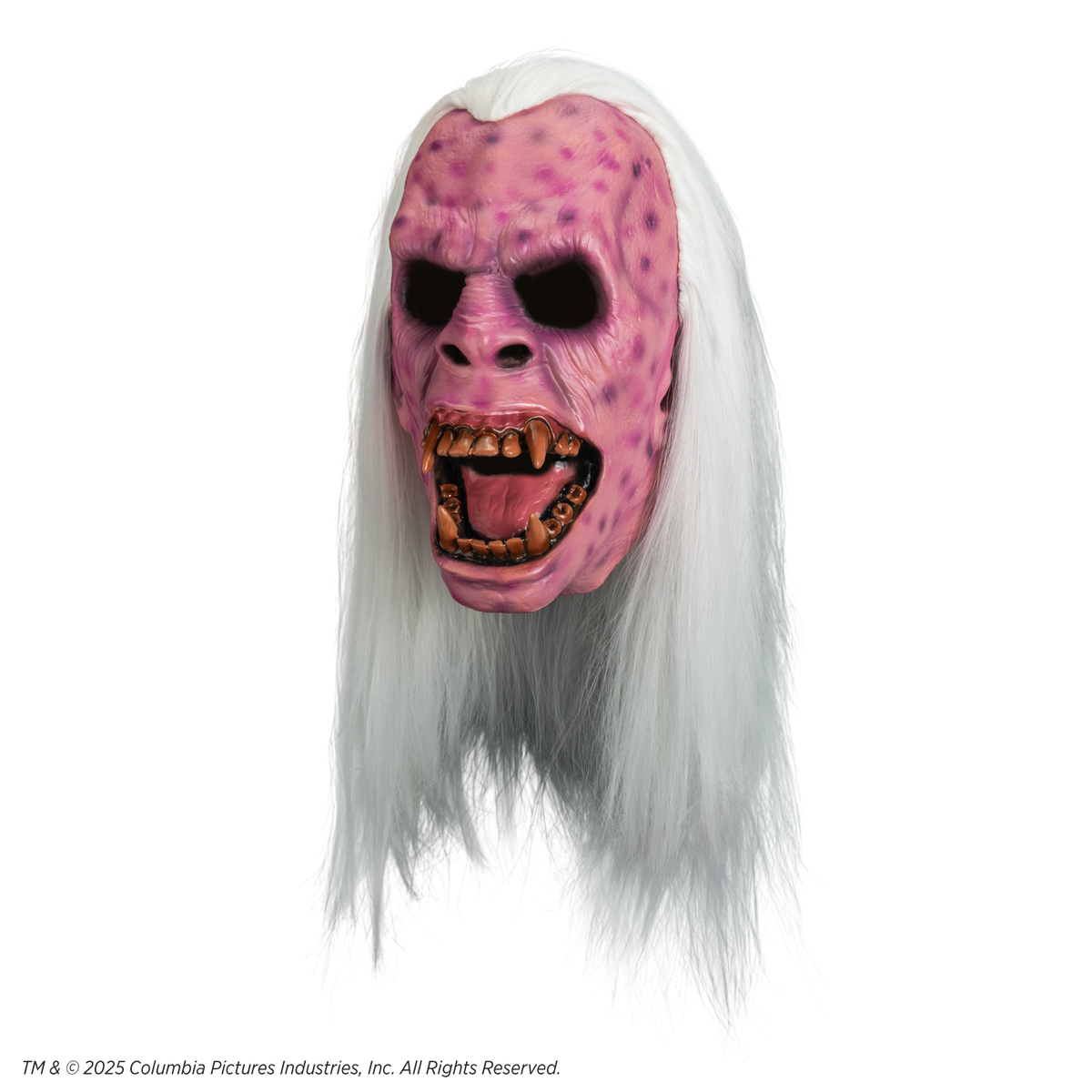 Ghostbusters - Library Ghost Mask (Vinyl) product image 3, provided for visual reference and product detail review