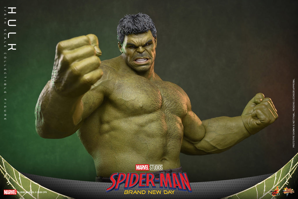 Hot Toys Hulk (Spider-Man: Brand New Day) 1/6 Scale Action Figure product image 6, provided for visual reference and product