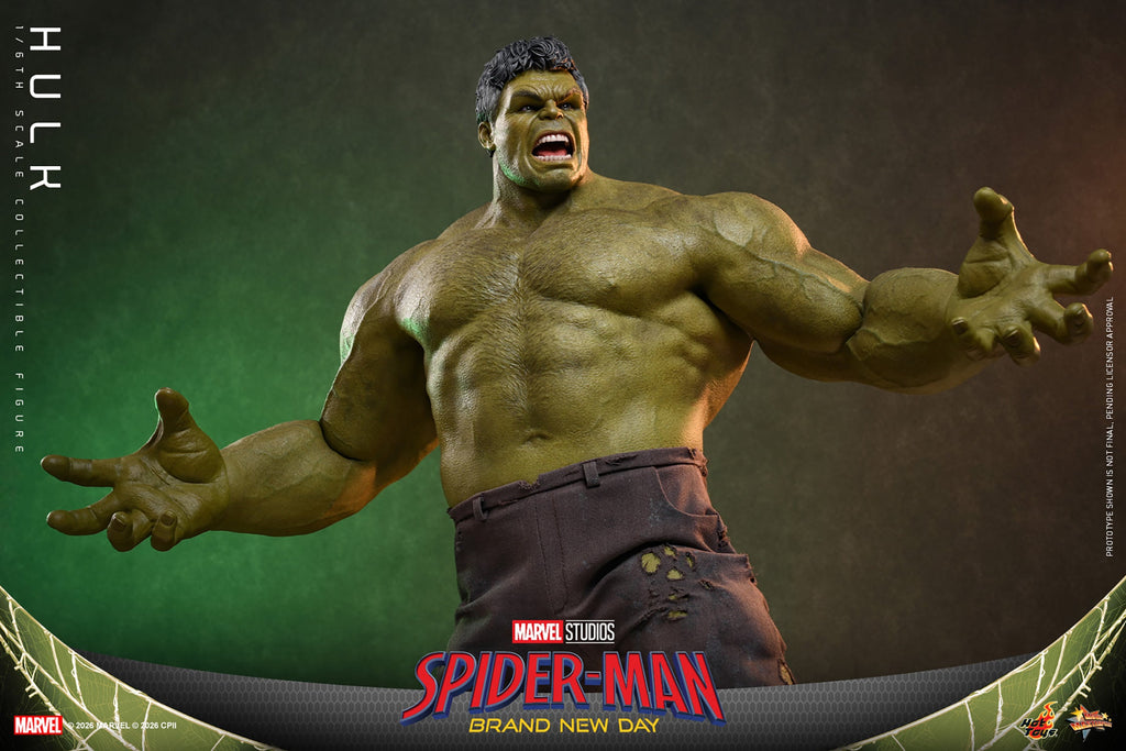 Hot Toys Hulk (Spider-Man: Brand New Day) 1/6 Scale Action Figure product image 7, provided for visual reference and product