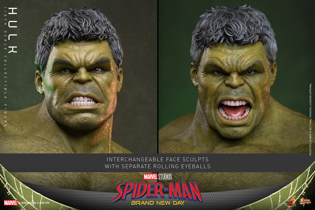 Hot Toys Hulk (Spider-Man: Brand New Day) 1/6 Scale Action Figure product image 5, provided for visual reference and product