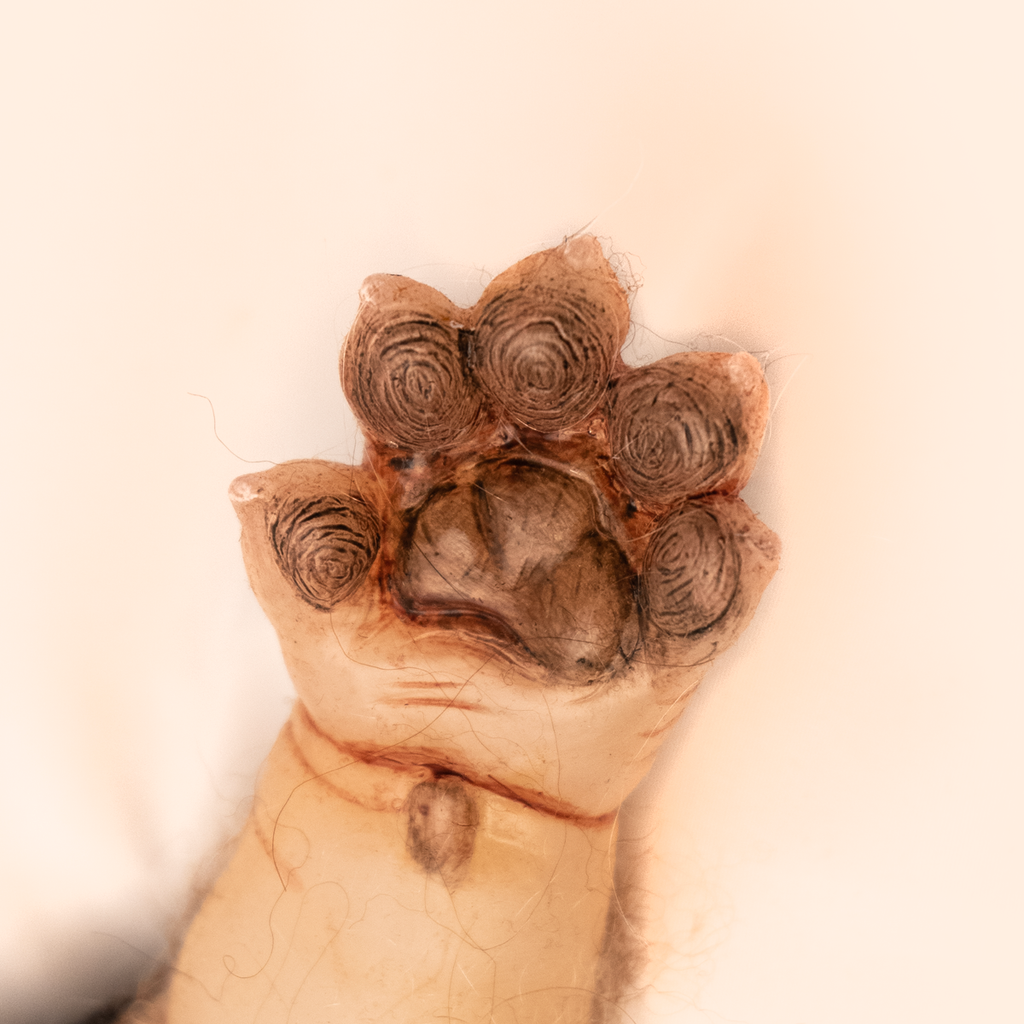 WerePups - Toby product image 7, provided for visual reference and product detail review